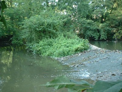 Streichwehr der Praunheimer Mühle